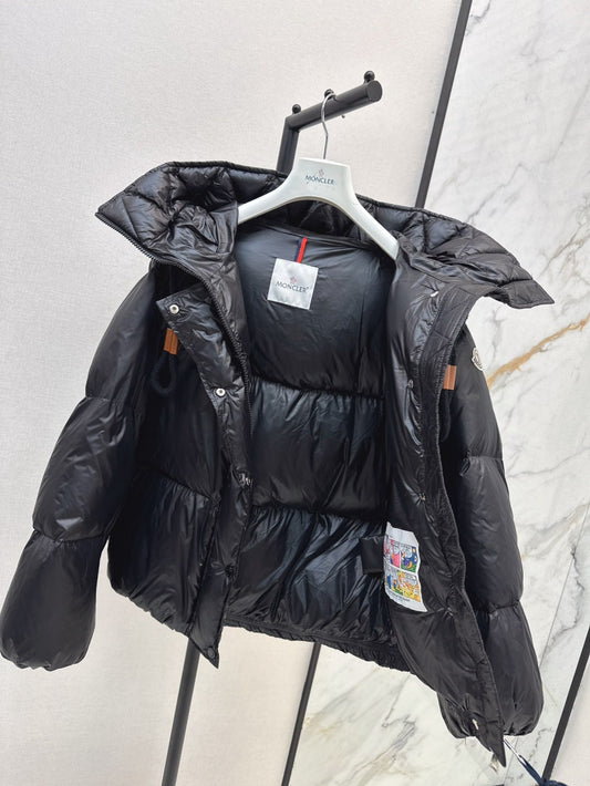 25fw down jacket