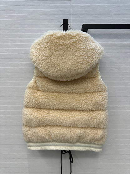 25fw down vest