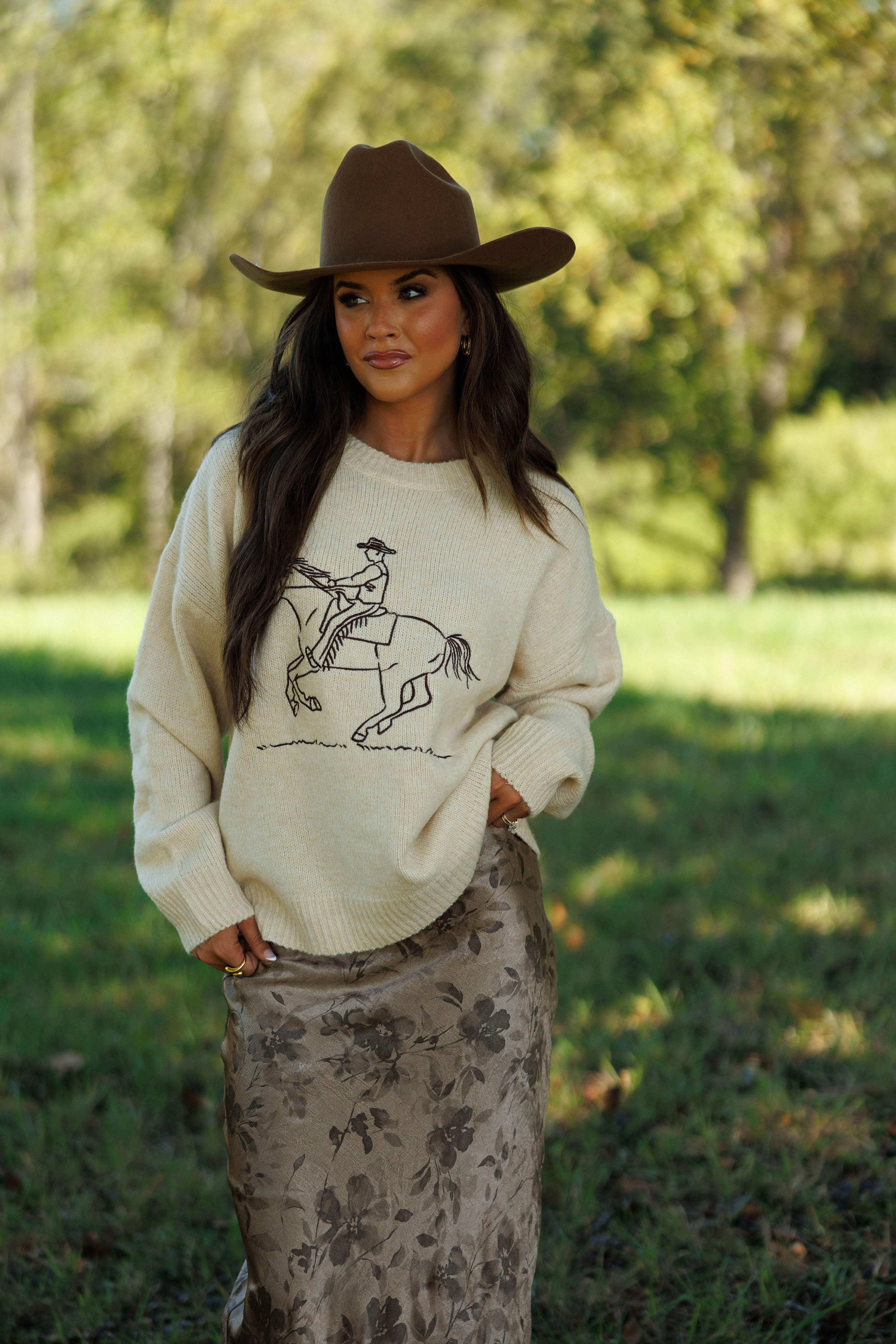 Western Sketch Sweater